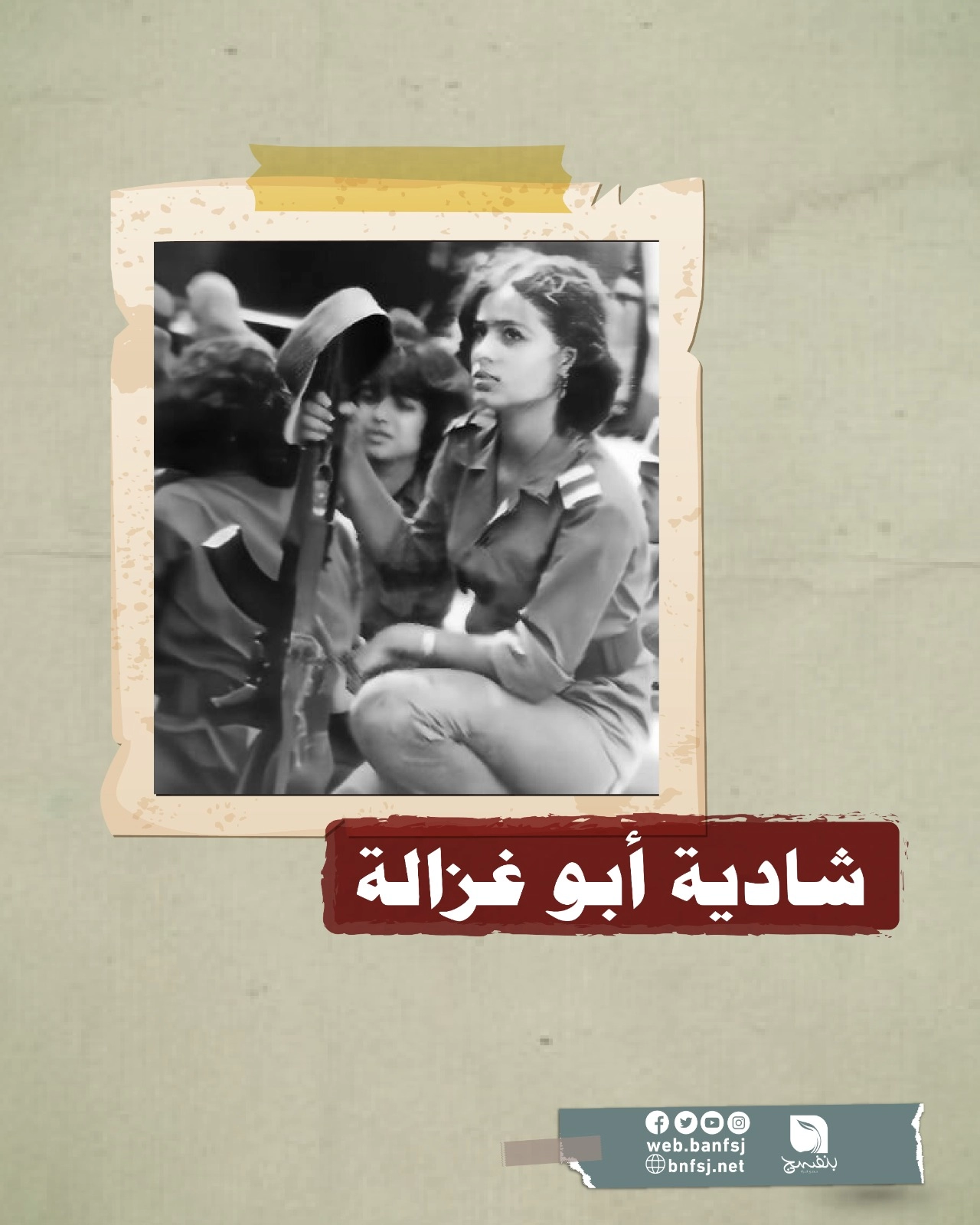 شادية أبو غزالة.jpg